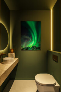toilet design